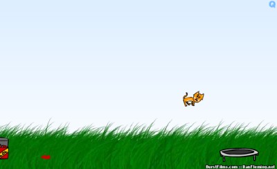 Kitten cannon